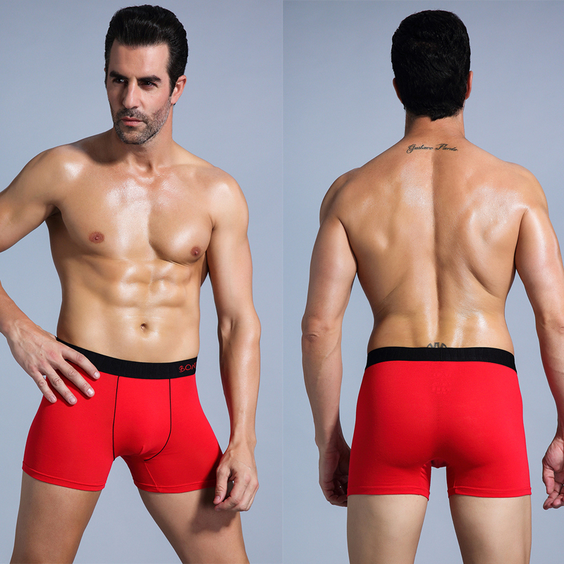 6pcs White Men Panties Cotton  - Boxer Brief Pack Cotton ulasan dan harga