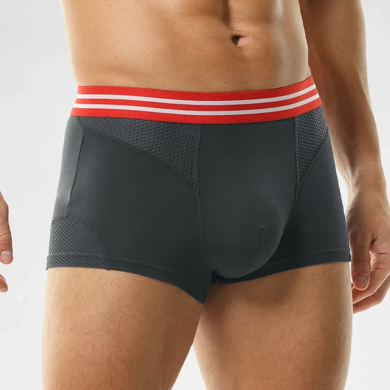 Underwear Men's boxers  mesh b - Mesh Sport Boxer ulasan dan harga